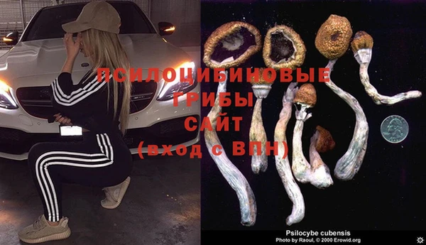 героин Богородицк